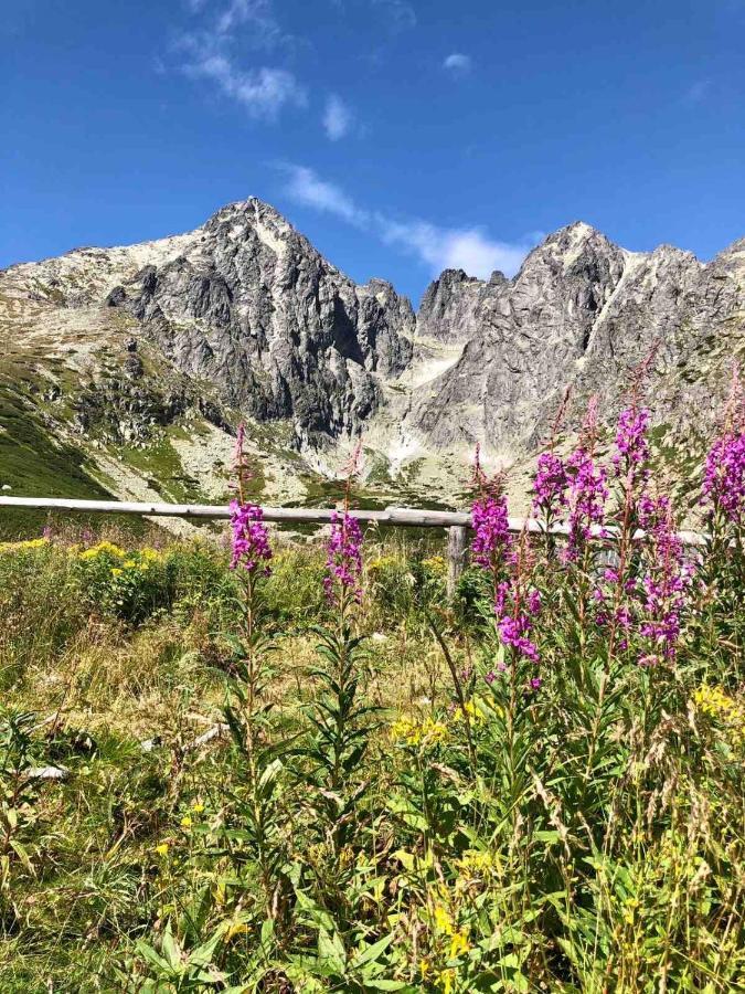 Apartman Lesnicek Stará Lesná Buitenkant foto